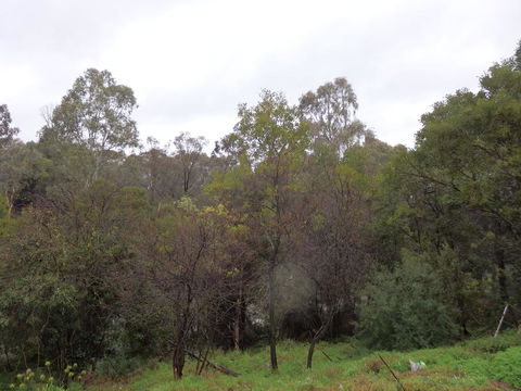 Mandall Avenue - Yamba Accommodation 2