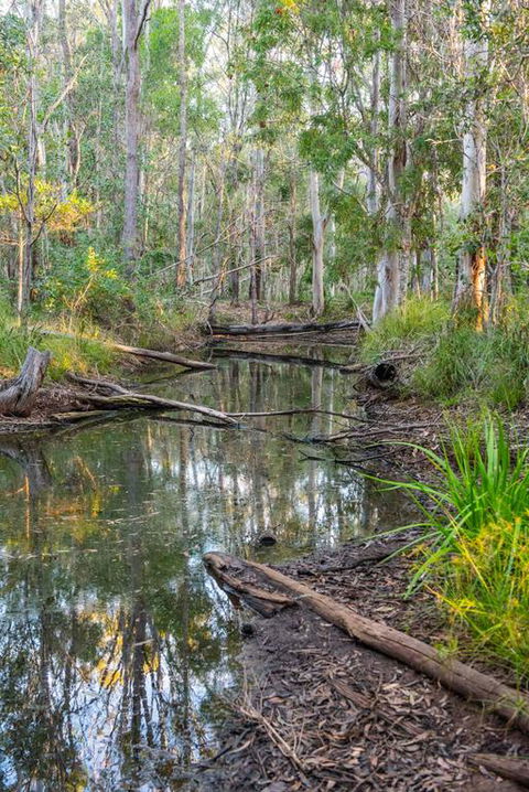 Mango Lodge At River Heads - Yamba Accommodation 3