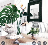 Manly Beach Retreat - Yamba Accommodation