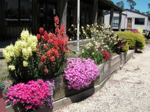 Mansfield Holiday Park - Yamba Accommodation 3