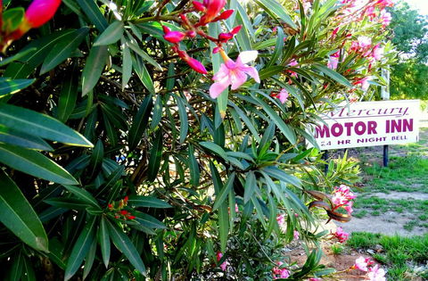 Mercury Motor Inn - Yamba Accommodation 0