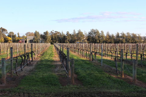 Milawa Vineyard Views - Guesthouse 1 - Yamba Accommodation 1