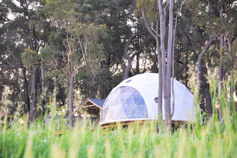 Mile End Glamping Pty Ltd - Yamba Accommodation 2
