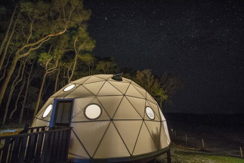 Mile End Glamping Pty Ltd - Yamba Accommodation 3
