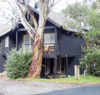 Milkwood - Yamba Accommodation