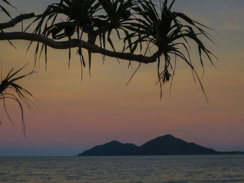 Mission Beach Hideaway Holiday Village - Yamba Accommodation 1