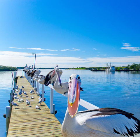 Moby Dick Waterfront Resort Motel - Yamba Accommodation 0