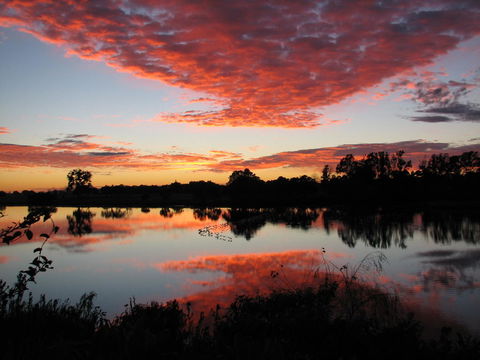 Moon River Motor Inn - Yamba Accommodation 0