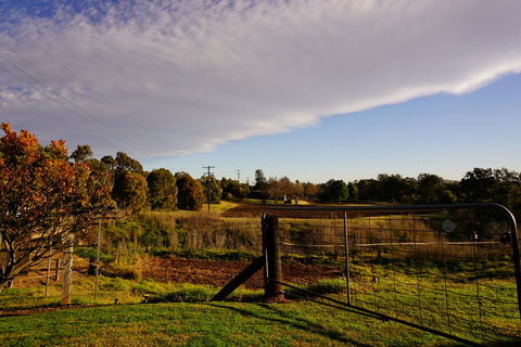 Muswellbrook Northside B&B - Yamba Accommodation 3