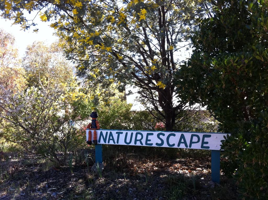 Kosciuszko NSW Yamba Accommodation