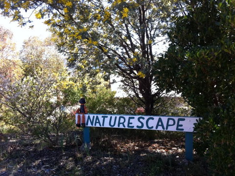 Naturescape - Yamba Accommodation 0