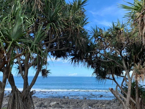 Nautilus Beachside Apartments - Yamba Accommodation 3