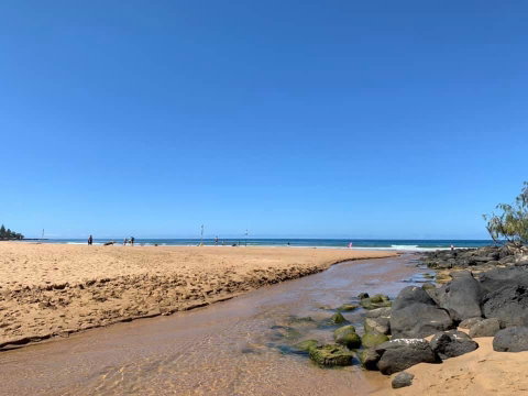 Nautilus Beachside Apartments - Yamba Accommodation 1