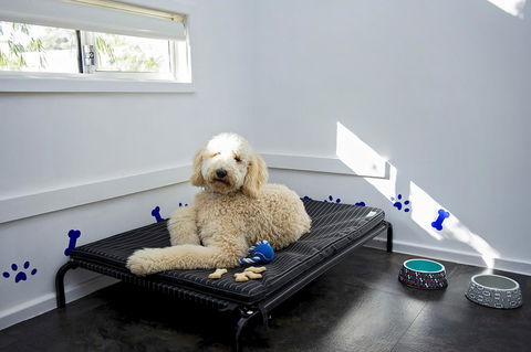 Discovery Parks - Woodman Point - Yamba Accommodation 7