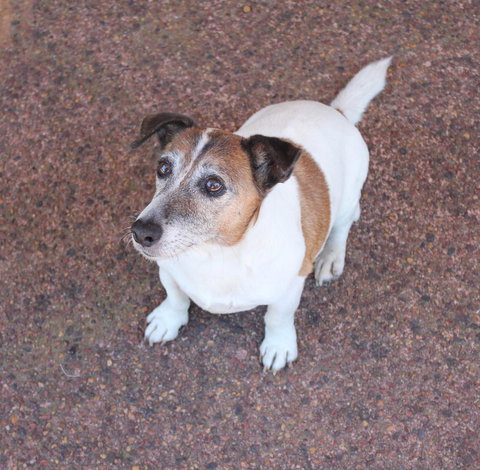 Jacaranda Hideaway Bed & Breakfast - Yamba Accommodation 13