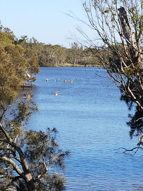 Jacaranda Hideaway Bed & Breakfast - Yamba Accommodation 19