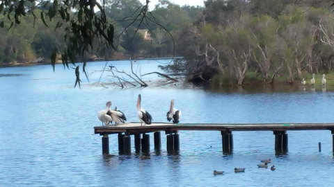 Jacaranda Hideaway Bed & Breakfast - Yamba Accommodation 18