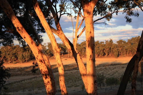 Hotham Ridge Estate - Yamba Accommodation 30