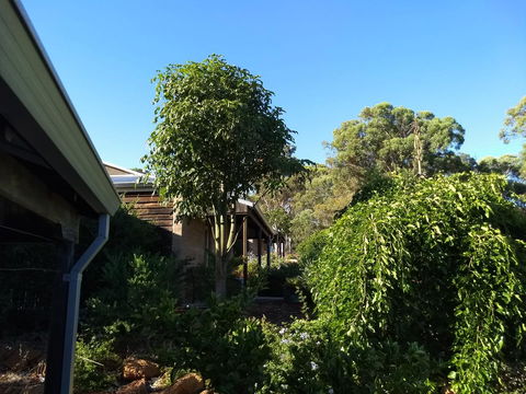 Hotham Ridge Estate - Yamba Accommodation 5