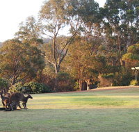 Riverside Retreat Chalets Walpole - Yamba Accommodation