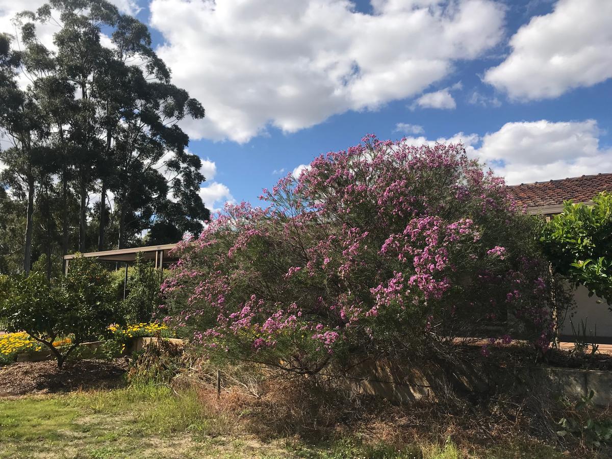 Aubin Grove WA Yamba Accommodation