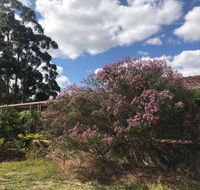 Cockburn Retreat Home  - Yamba Accommodation