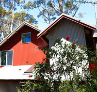 Pelicans at Denmark - Yamba Accommodation
