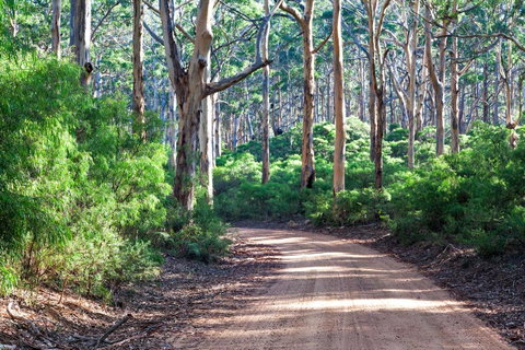 Margaret River Retreat - Yamba Accommodation 20