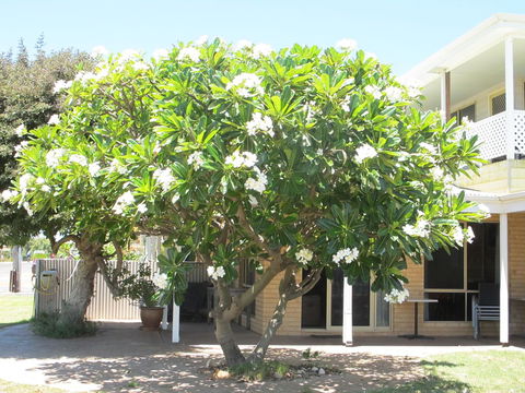 Kalbarri Riverfront Unit - Yamba Accommodation 6