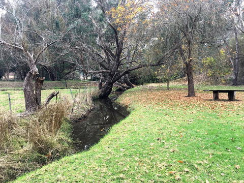 Historic Oakhill House Entire Estate - Yamba Accommodation 18