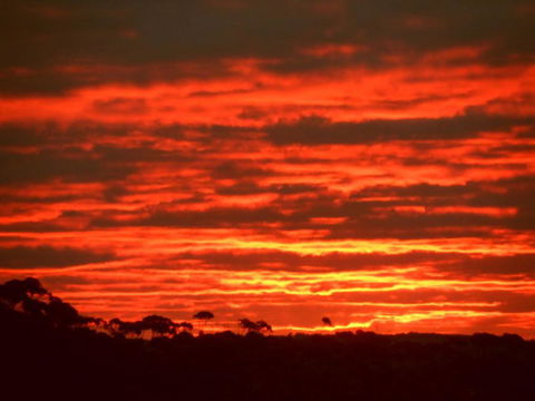 Tennessee Hill Chalets - Yamba Accommodation 3