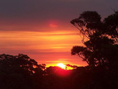 Tennessee Hill Chalets - Yamba Accommodation 9