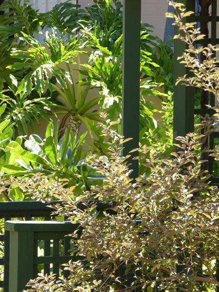Kalbarri Beach Resort - Yamba Accommodation 32