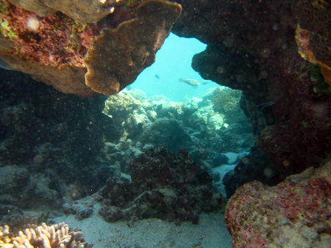Ningaloo Coral Bay â€“ Bayview - Yamba Accommodation 4