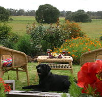 Silversprings cottages - Yamba Accommodation