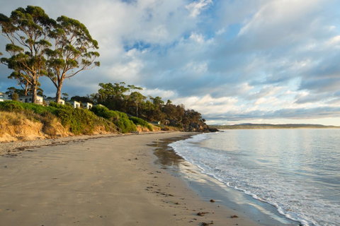 Swansea Beach Chalets - Yamba Accommodation 44