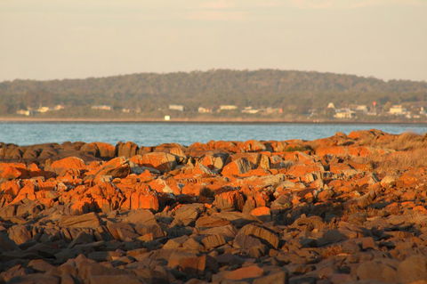 Tamar Solar Home - Yamba Accommodation 16