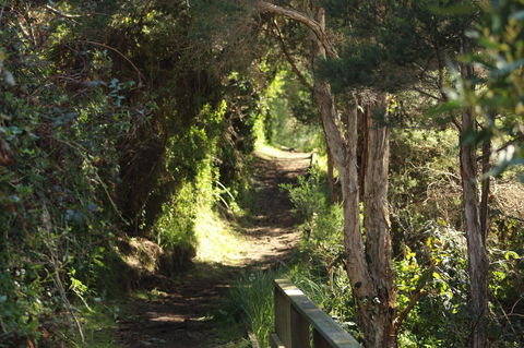Tamar Solar Home - Yamba Accommodation 15