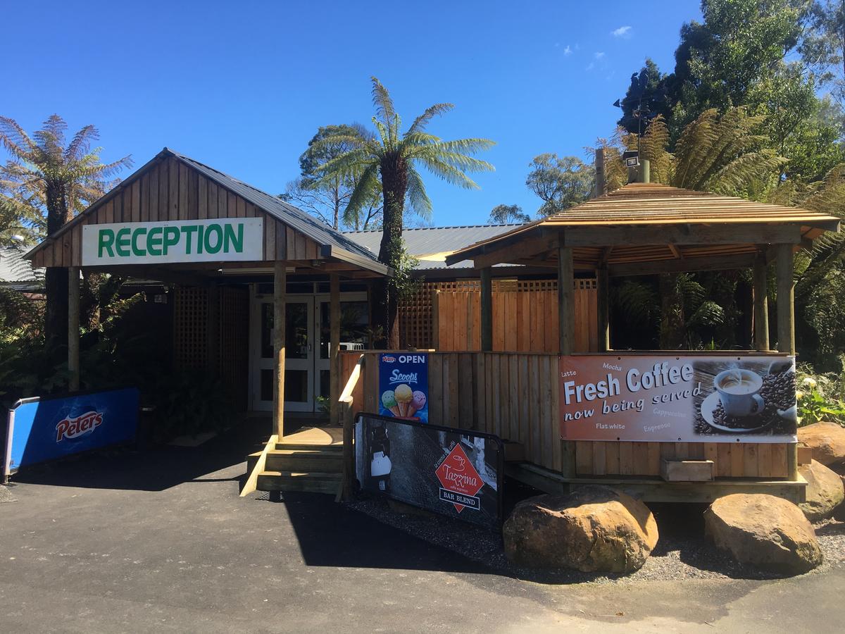 Hampshire TAS Yamba Accommodation