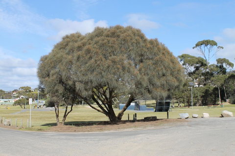 Bircoo Cottage Beach And Golf Getaway - Yamba Accommodation 12