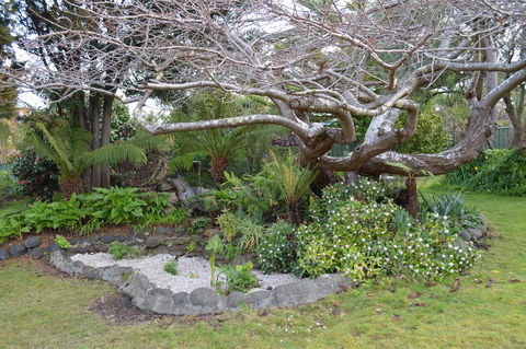 Smugglers Rest Apartments Dover - Yamba Accommodation 22