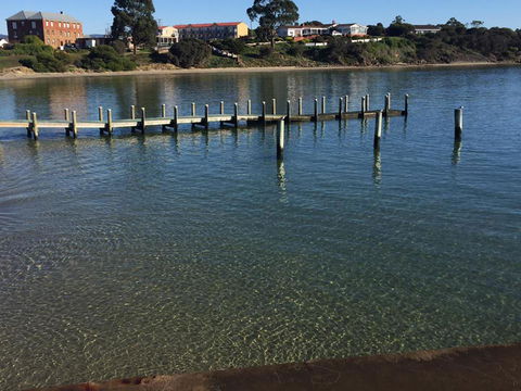Swansea Holiday Park Tasmania - Yamba Accommodation 40