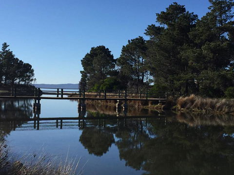 Swansea Holiday Park Tasmania - Yamba Accommodation 41