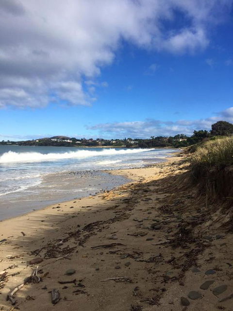 Swansea Holiday Park Tasmania - Yamba Accommodation 15