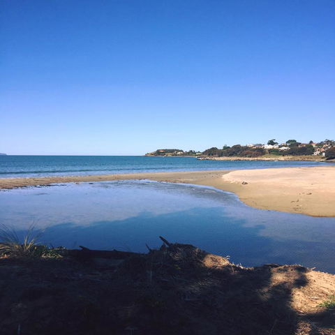 Swansea Holiday Park Tasmania - Yamba Accommodation 14