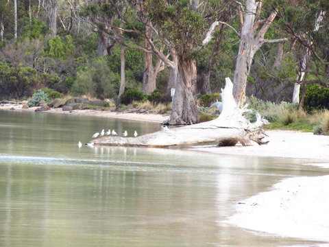 The Boat Shed - Yamba Accommodation 12