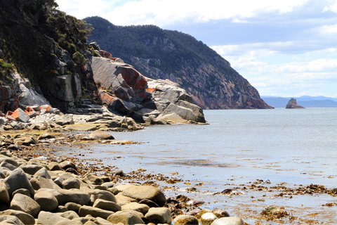 Aplite House - Yamba Accommodation 26