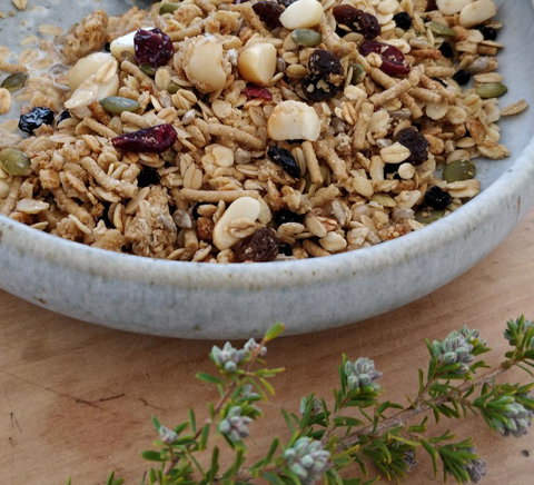 Aplite House - Yamba Accommodation 24