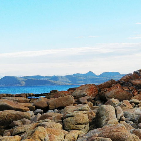 Aplite House - Yamba Accommodation 31