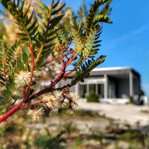 Aplite House - Yamba Accommodation 36